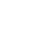 Weiss Logo