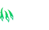 Wild.io Casino Logo