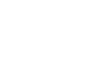 Wild Dice Casino Logo