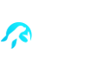 Flipper Flip Casino Flipper Flip Casino Logo