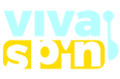 Vivaspin Casino Logo