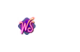 WinSpirit Casino Logo