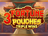 3 Fortune Pouches Triple Wins