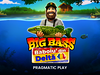 Big Bass Baboiu din Delta logo