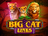 Big Cat Links