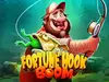Fortune Hook Boom
