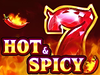 Hot and Spicy logo