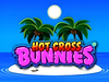 Hot Cross Bunnies logo