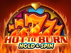 Hot to Burn Hold and Spin logo
