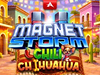Magnet Storm Chili Chihuahua logo