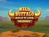 Wild Buffalo Megaways Hold N Link