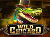 Wild Chicago logo
