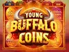Young Buffalo Coins