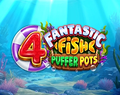 4 Fantastic Fish Puffer Pots
