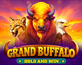 Grand Buffalo Hold and Win
