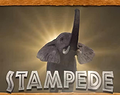 Stampede
