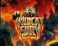 Wildcat Fury