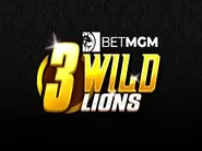3 Wild Lions