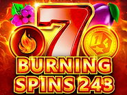 Burning Spins 243