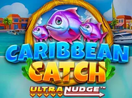 Caribbean Catch