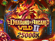 Dragons of Arcane Wild 2