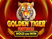 Golden Tiger Fortunes Hold and Win