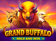 Grand Buffalo Hold and Win
