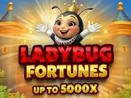 Ladybug Fortunes