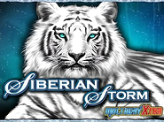 Siberian Storm