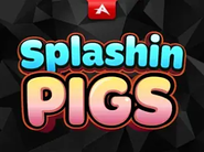Splashin Pigs