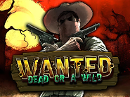 Wanted Dead Or A Wild