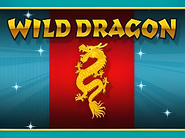 Wild Dragon Golden Hero