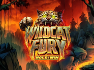 Wildcat Fury