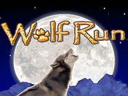 Wolf Run