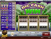 Big Cash Win Screenshot