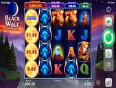 Black Wolf Hold and Win Screenshot