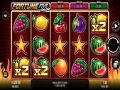 Fortune Five Double Screenshot