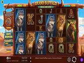 Grand Buffalo Hold and Win Screenshot