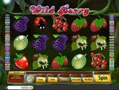 Wild Berry 5 Reels Screenshot