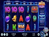 Wild Spin Deluxe Screenshot