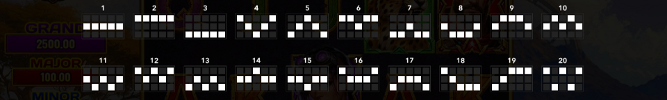 riot feral riches hold and win paylines