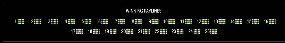 wild spin payline