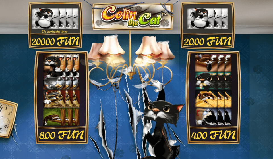 colin the cat paytable