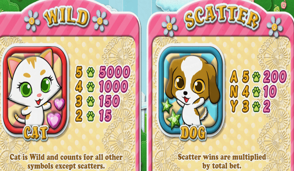 purrfect pets paytable 1