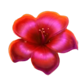 4 fairy flowers hold and win scatter 3 symbol
