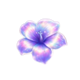 4 fairy flowers hold and win scatter 5 symbol