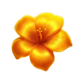 4 fairy flowers hold and win scatter symbol