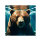 bear spirit bounty retrigger scatter symbol