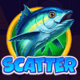 big catch bonanza scatter symbol