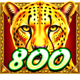 cheetah wild scatter 2 symbol